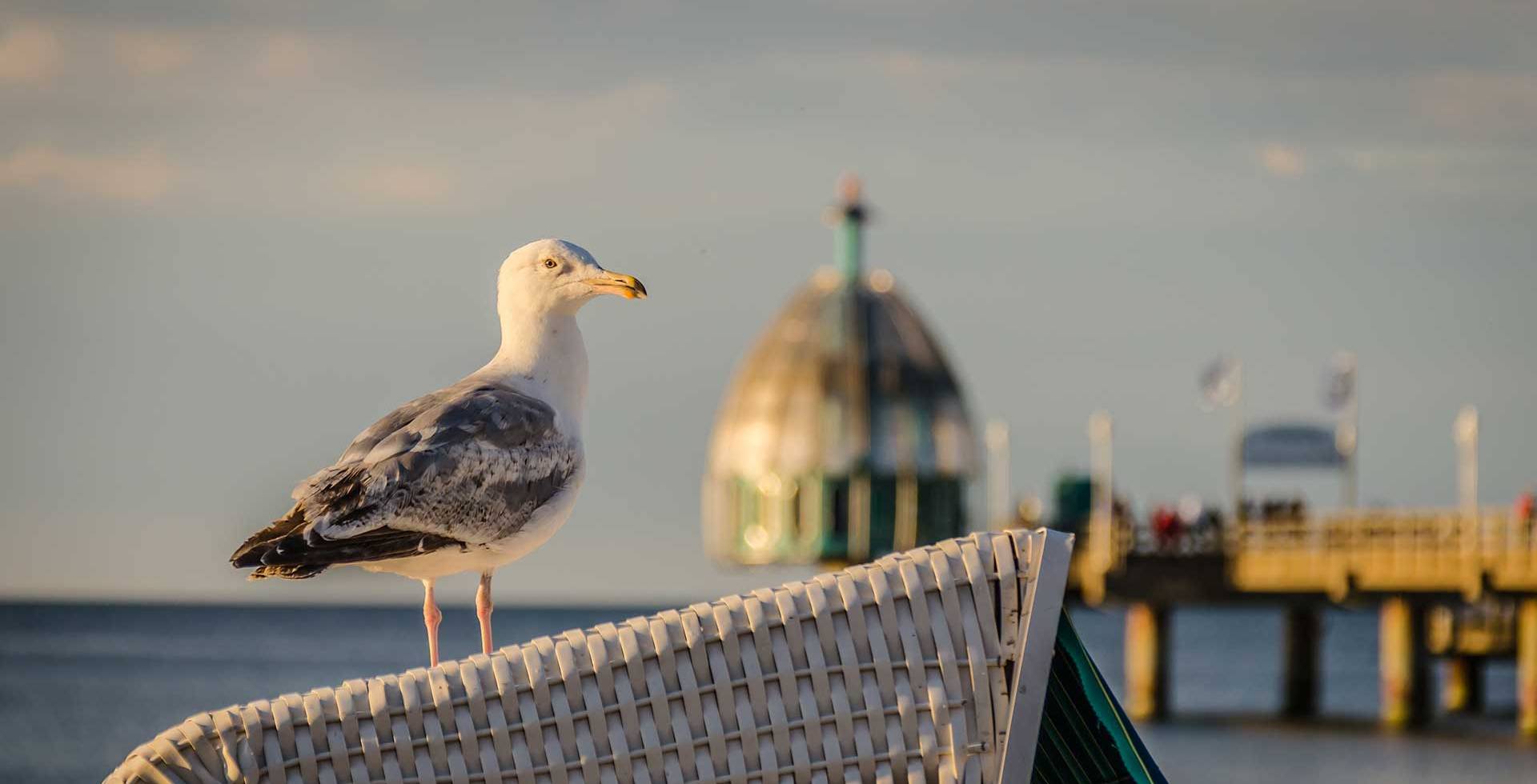 Usedom zu jeder Jahreszeit