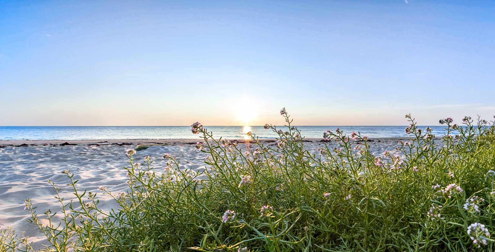 Usedom im Frühling