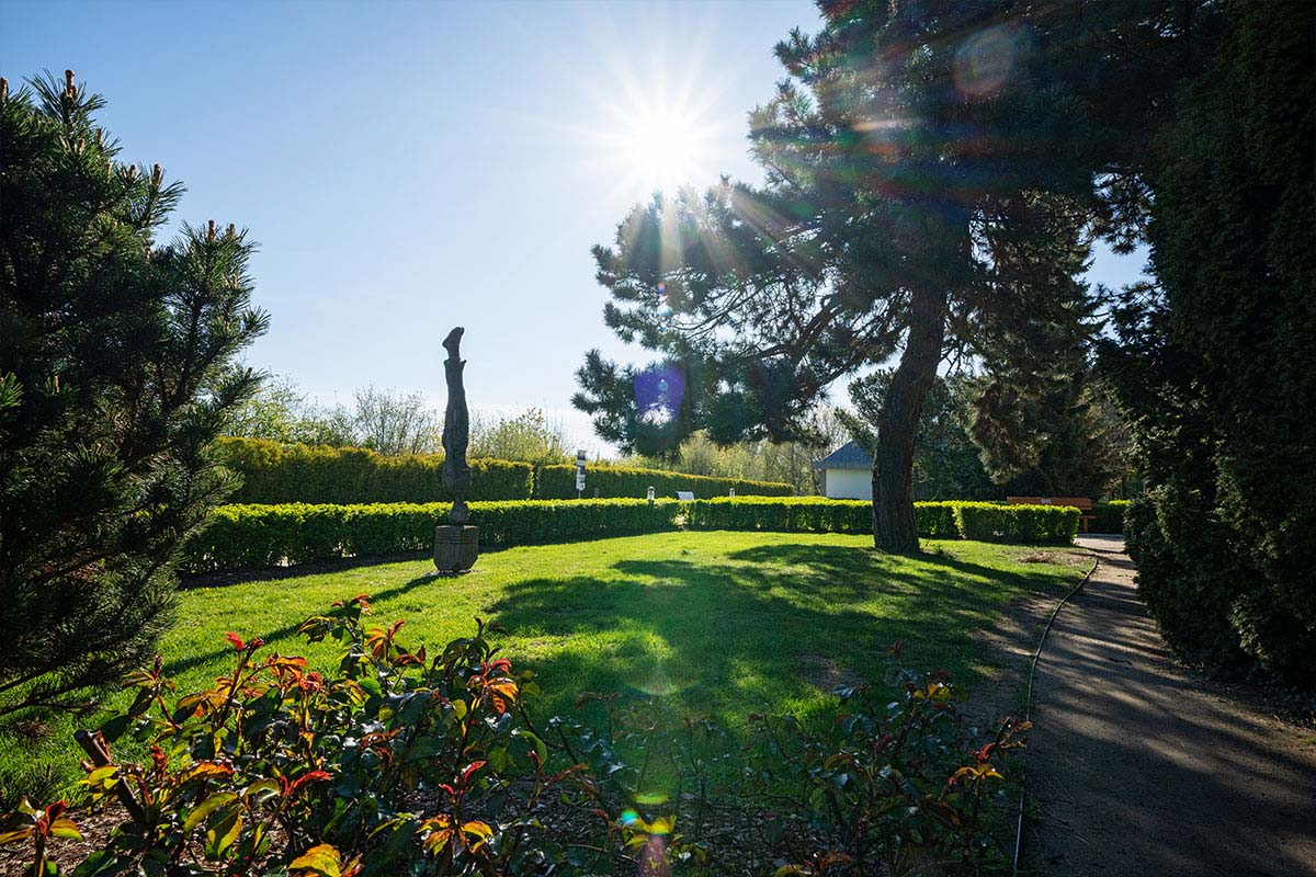 Sonniger Weg entlang der gepflegten Promenade mit Bäumen und Skulptur in Zinnowitz nahe der Strandvillen Wald&See.