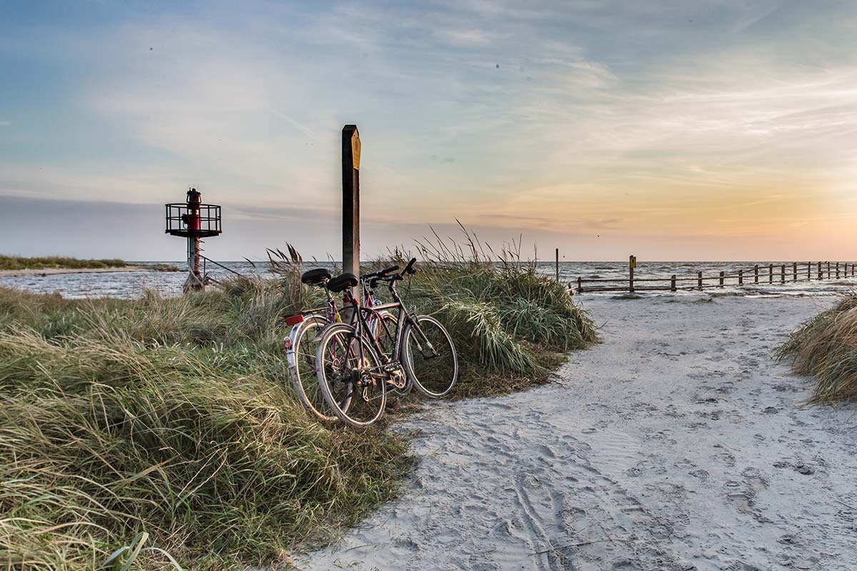 Zwei Fahrräder am Küstenweg durch die Dünen bei Zinnowitz auf Usedom, ideal für eine Radtour im Herbsturlaub