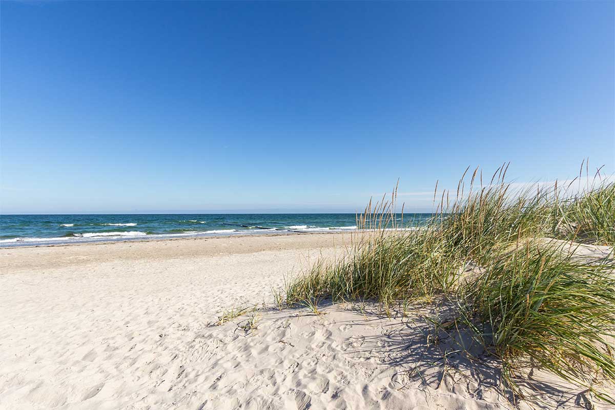 Blick über den weiten Ostseestrand bei Zinnowitz mit Dünen und blauem Himmel – perfekte Kulisse für einen Sommerurlaub.