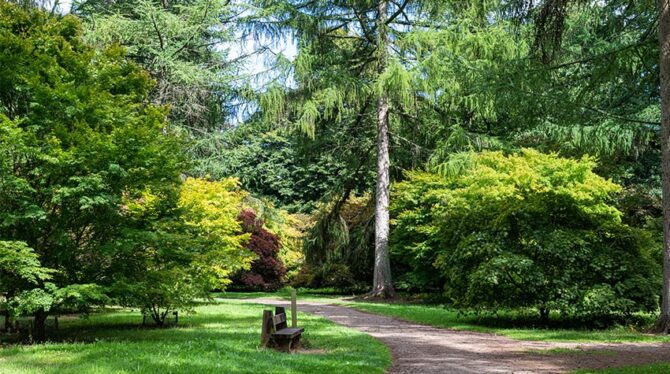 Der Botanische Garten Mellenthin Entdeckt Usedoms Flora