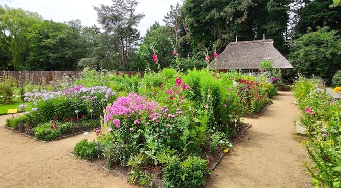 Usedoms Botanischer Garten